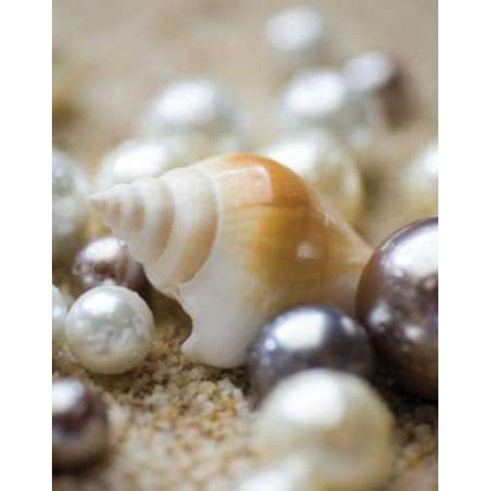 Sea Jewels I Poster Print by Jeff/Boyce Maihara/Watt-VARPDX5615 Image 2