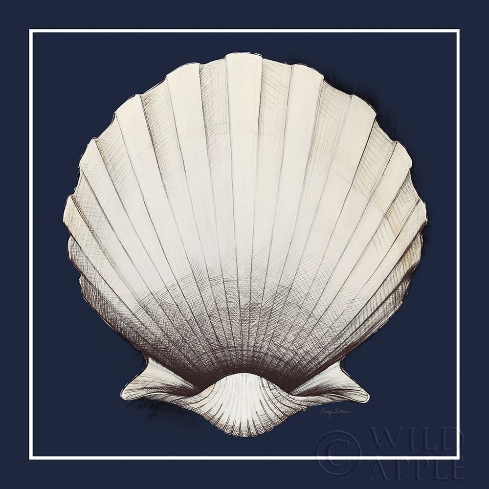 Coastal Shell II with Border Navy Poster Print by Avery Tillmon-VARPDX56157 Image 1