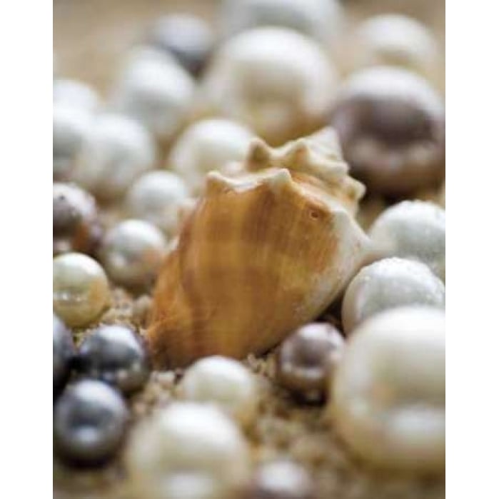 Sea Jewels III Poster Print by Jeff/Boyce Maihara/Watt-VARPDX5617 Image 1