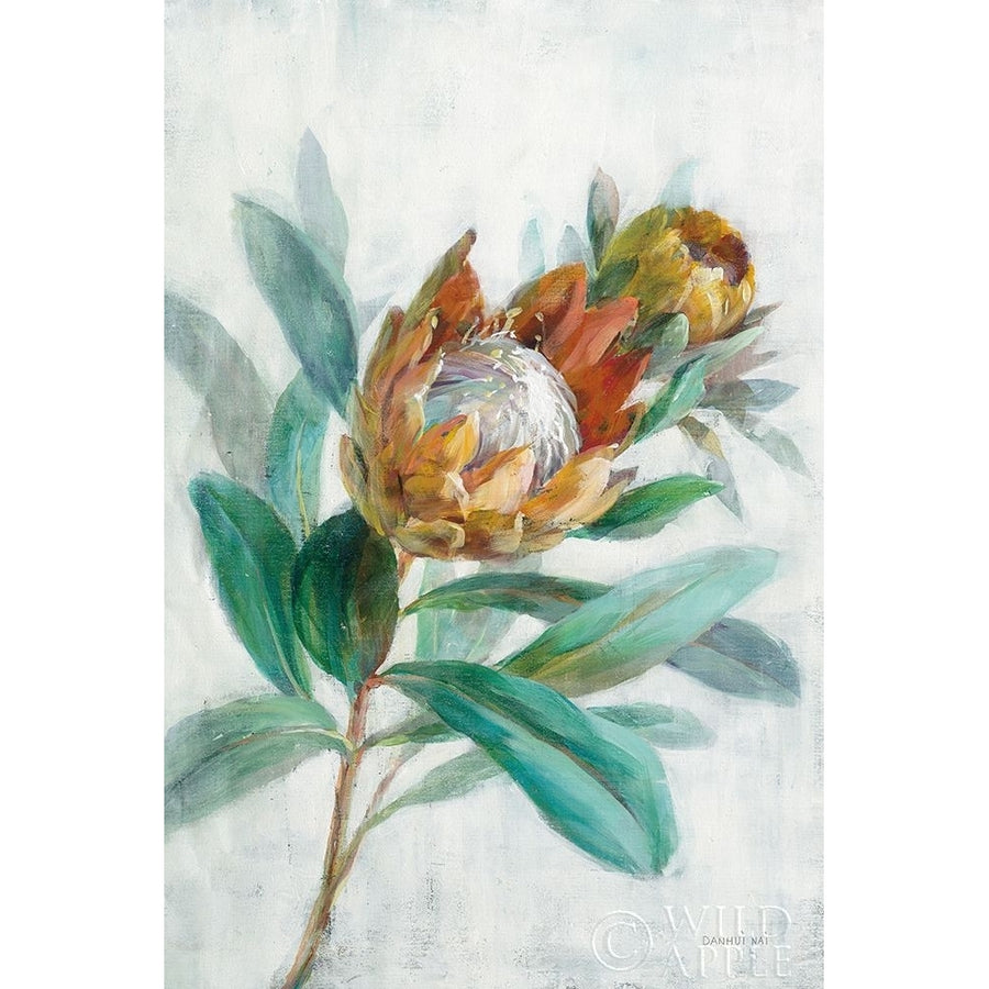 Tropical Protea Poster Print by Danhui Nai-VARPDX56275 Image 1