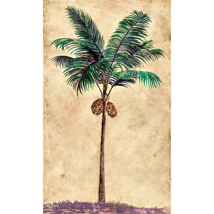 Coconut Tribal Palm II by Merri Pattinian-VARPDX5634A Image 1