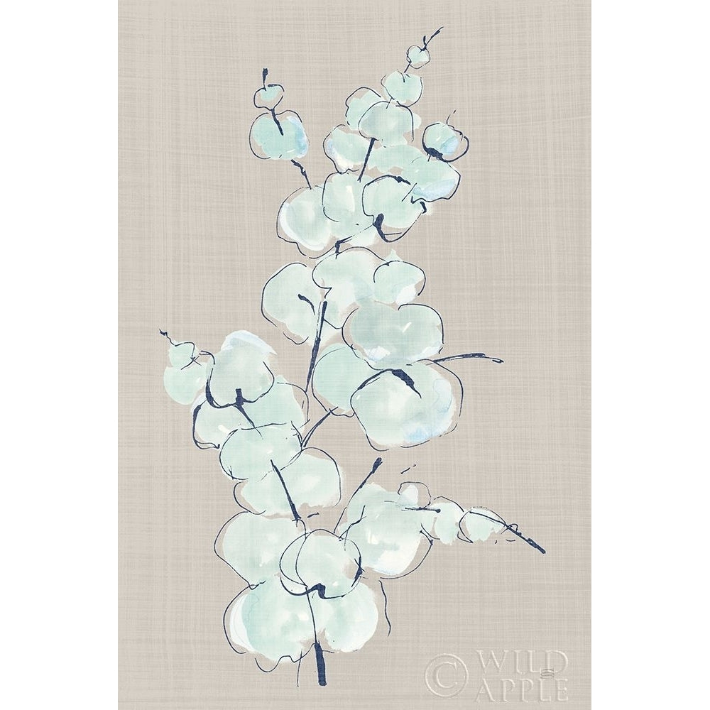 Eucalyptus Branch IV Blue Gray Poster Print by Chris Paschke-VARPDX56420 Image 1