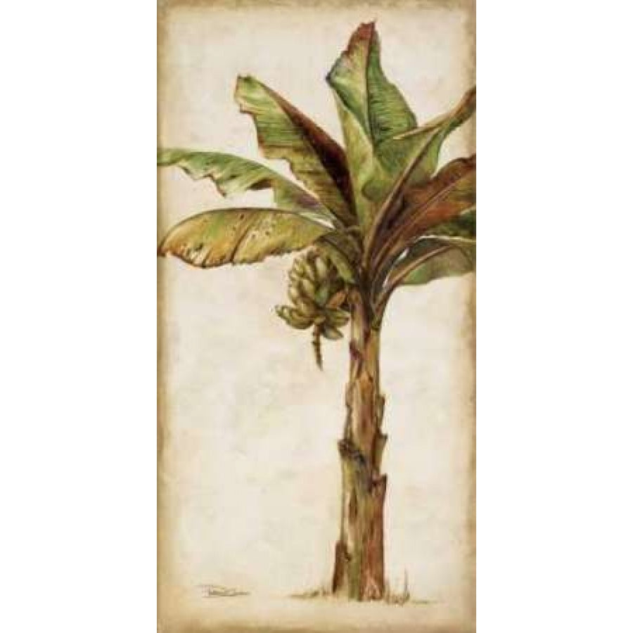 Tropic Banana II Poster Print by Patricia Pinto-VARPDX5644 Image 1