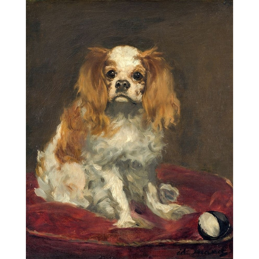 A King Charles Spaniel Poster Print by Edouard Manet-VARPDX56552 Image 1