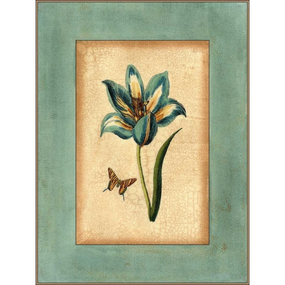 Crackled Spa Blue Tulip III Poster Print - Studio Vision-VARPDX56612Z Image 1