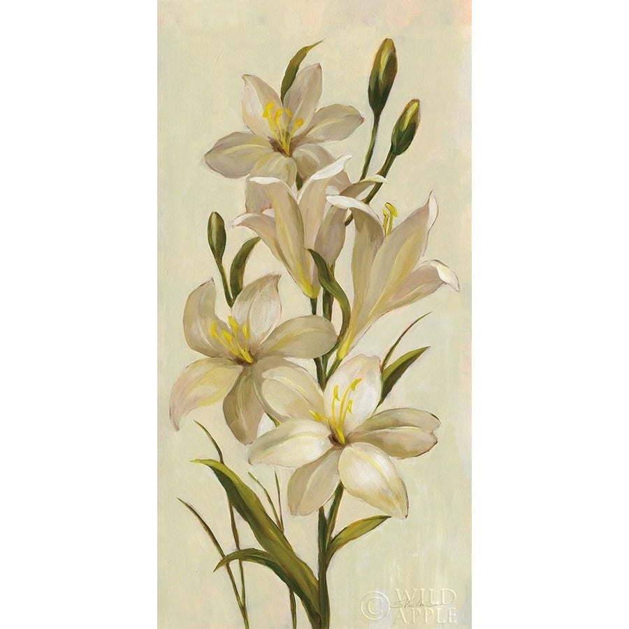 Elegant White Florals I Poster Print by Silvia Vassileva-VARPDX56804 Image 1