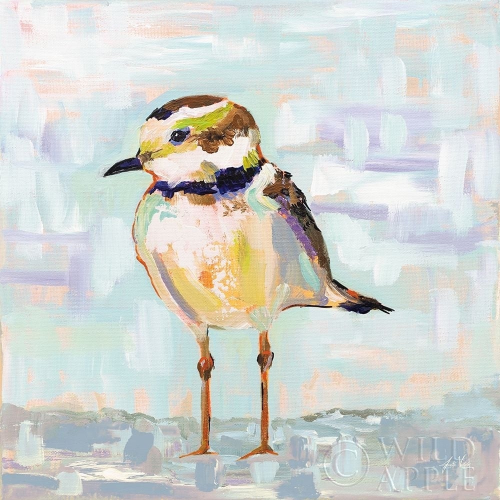 Coastal Plover II Neutral Poster Print by Jeanette Vertentes-VARPDX56825 Image 1