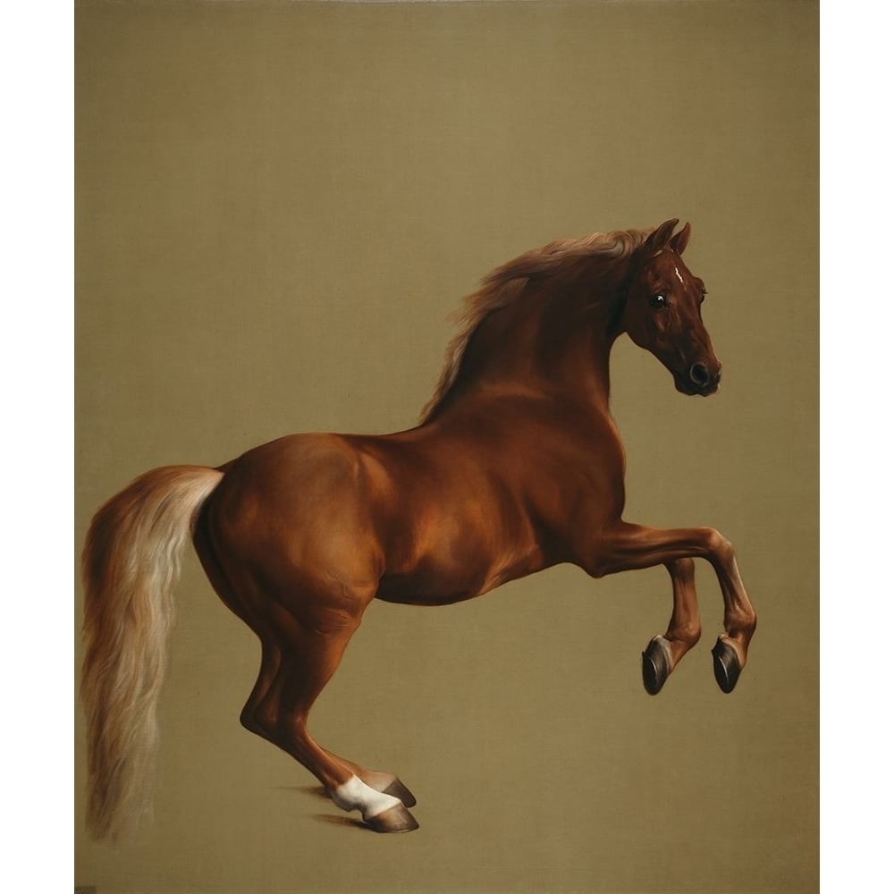 Whistlejacket by George Stubbs-VARPDX56920 Image 1