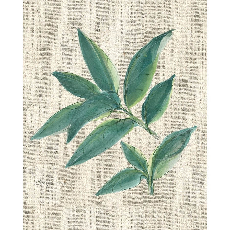 Bay Leaf on Burlap Poster Print by Chris Paschke-VARPDX56972 Image 1