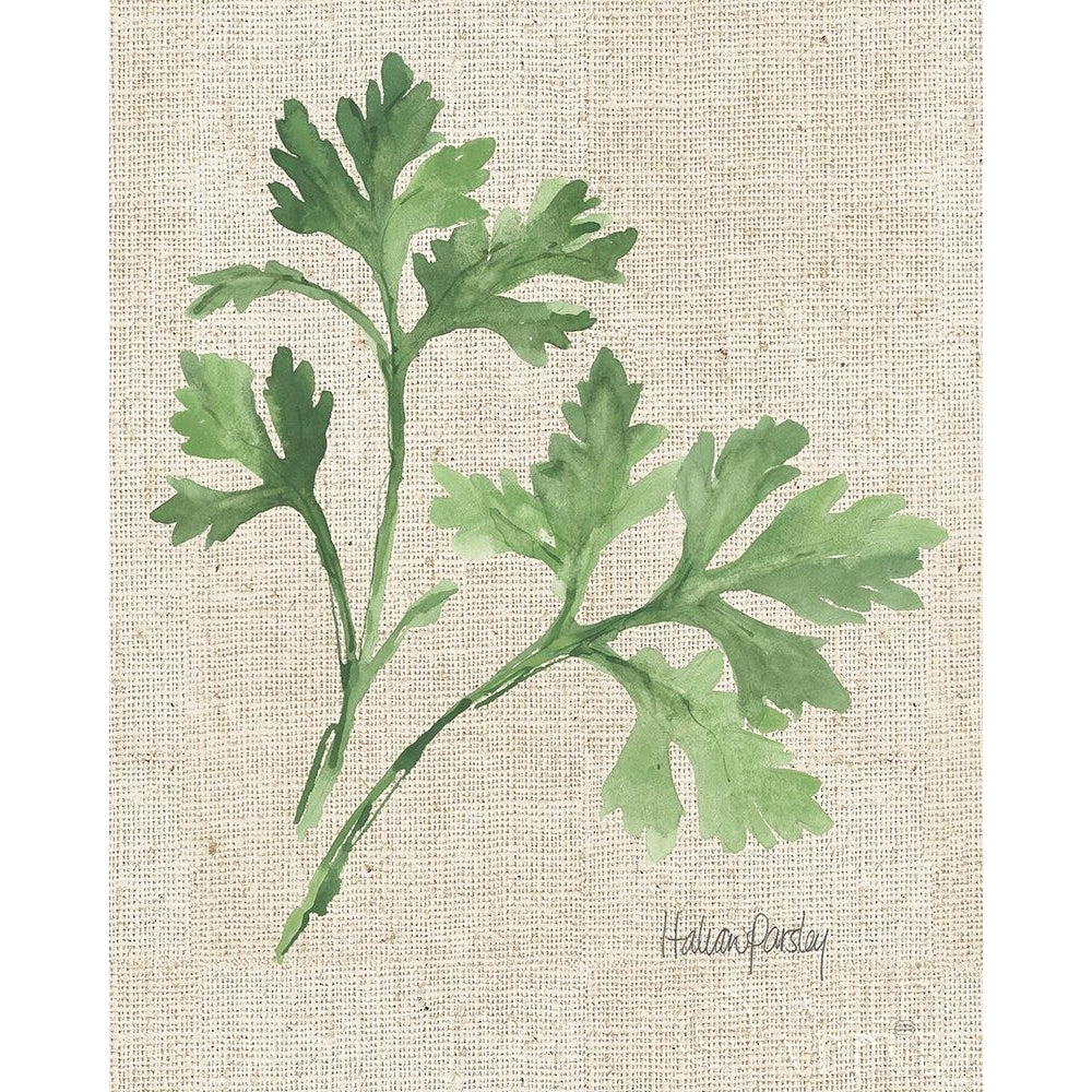 Italian Parsley v2 on Burlap Poster Print by Chris Paschke-VARPDX56975 Image 1