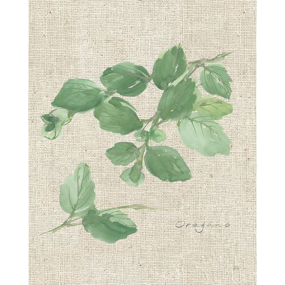 Oregano on Burlap Poster Print by Chris Paschke-VARPDX56973 Image 1