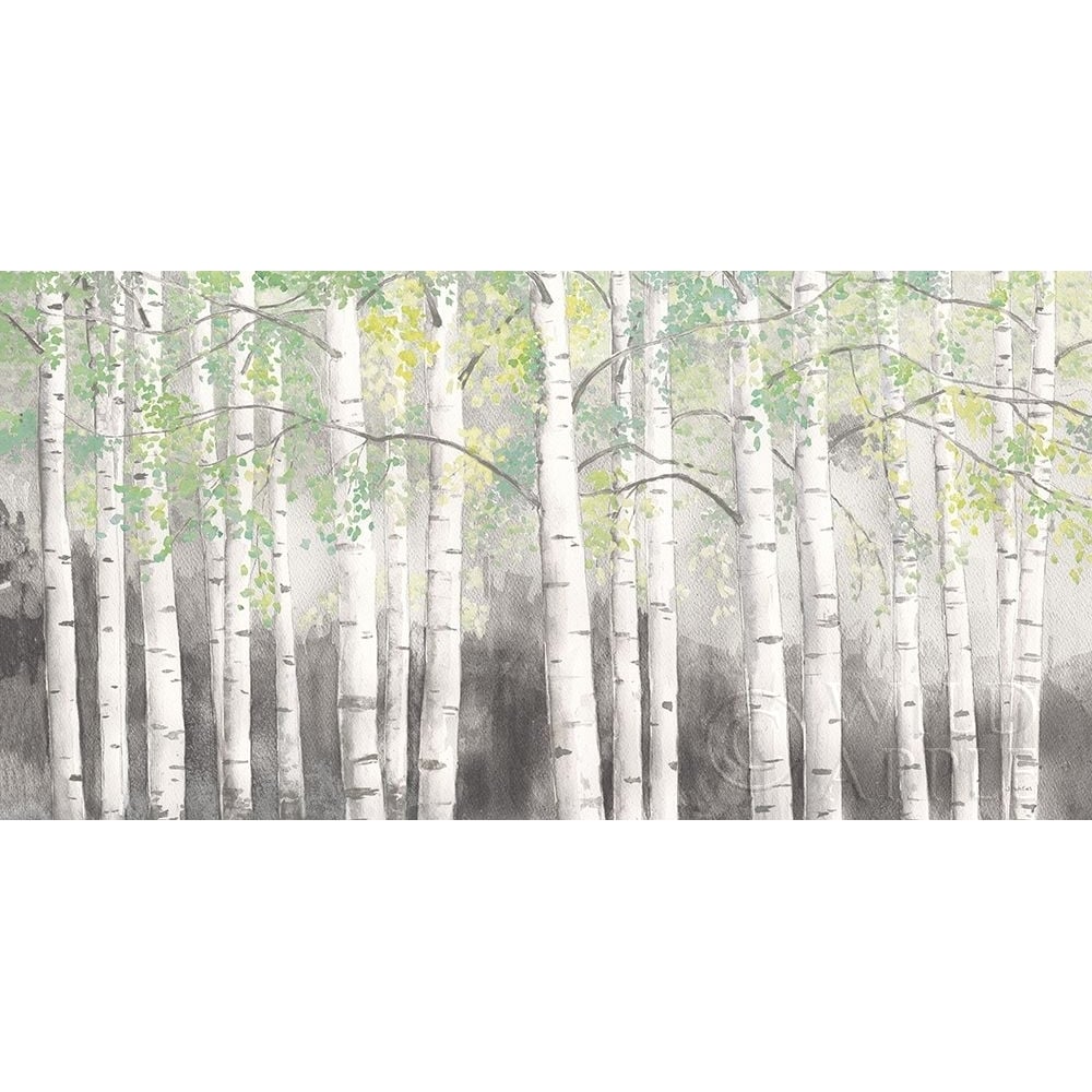 Soft Birches Charcoal Poster Print by James Wiens-VARPDX57004 Image 1