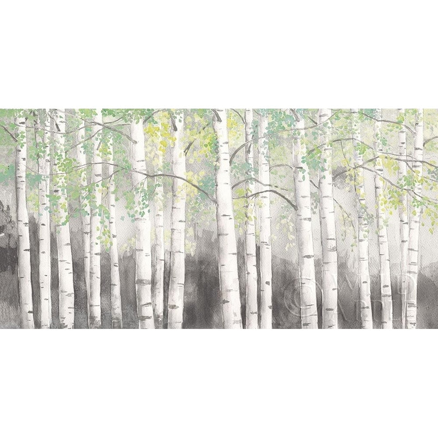 Soft Birches Charcoal Poster Print by James Wiens-VARPDX57004 Image 1