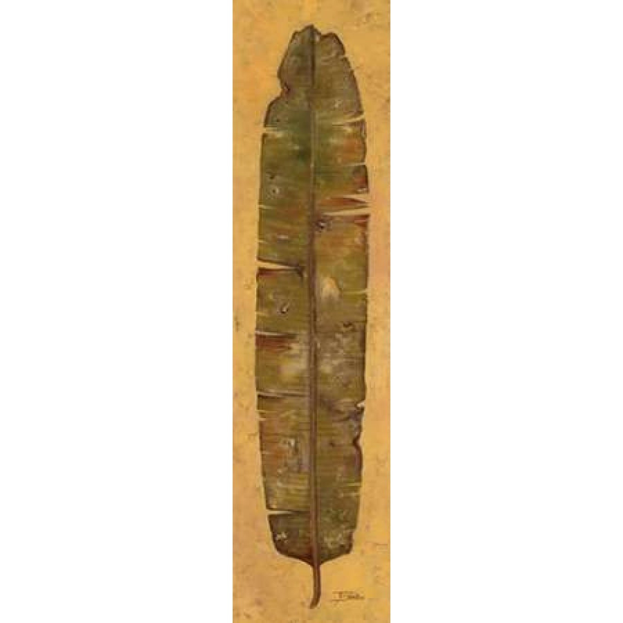 Banana Leaf II Poster Print by Patricia Pinto-VARPDX5716 Image 1