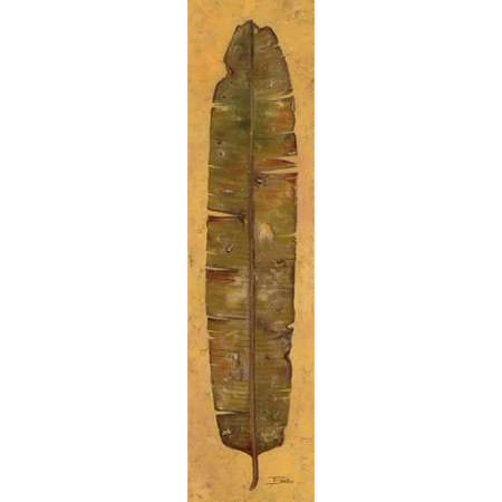 Banana Leaf II Poster Print by Patricia Pinto-VARPDX5716 Image 2