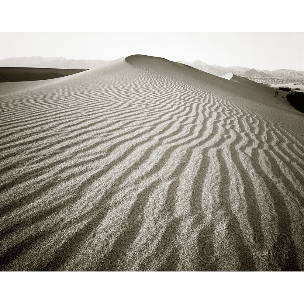 Desert Dunes Poster Print by Ed Goldstein-VARPDX57283 Image 1