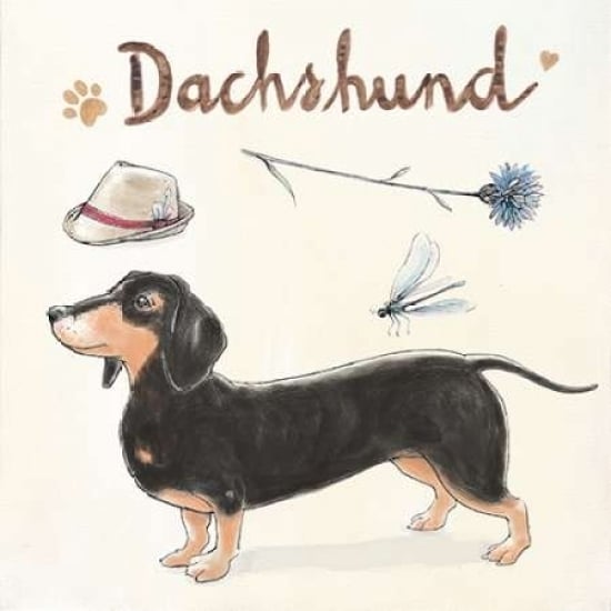 Dachshund Escapades Poster Print by Kerri Elliot-VARPDX572ELL1017 Image 1