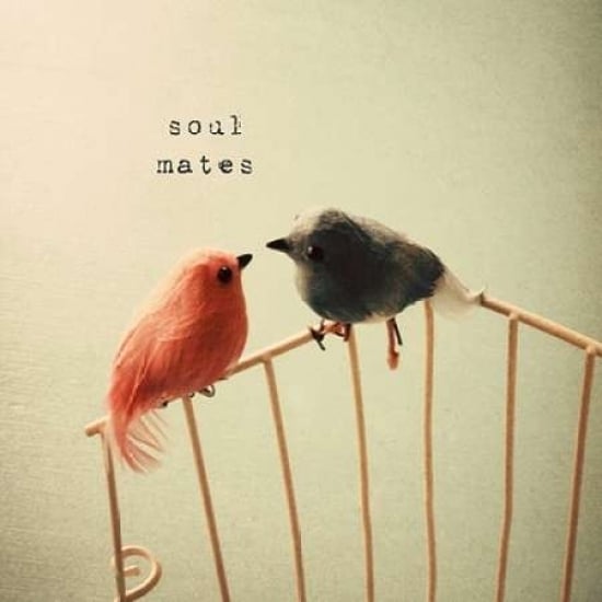 Soulmates Poster Print by Susannah Tucker Photography-VARPDX573TUC1041 Image 1