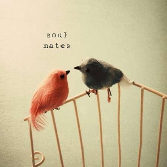 Soulmates Poster Print by Susannah Tucker Photography-VARPDX573TUC1041 Image 2