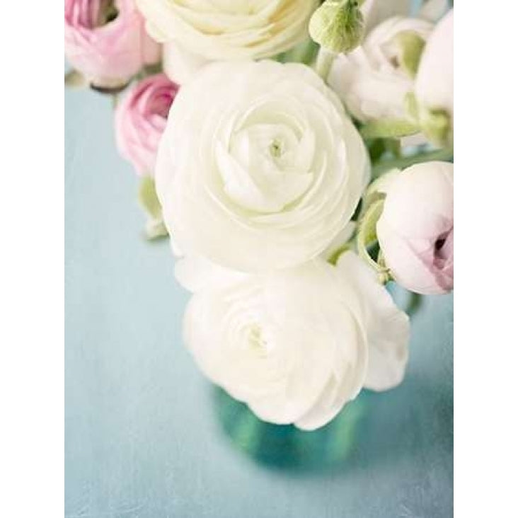 Still Beauty in Pastel 1 Poster Print by Susannah Tucker Photography-VARPDX573TUC1088 Image 1