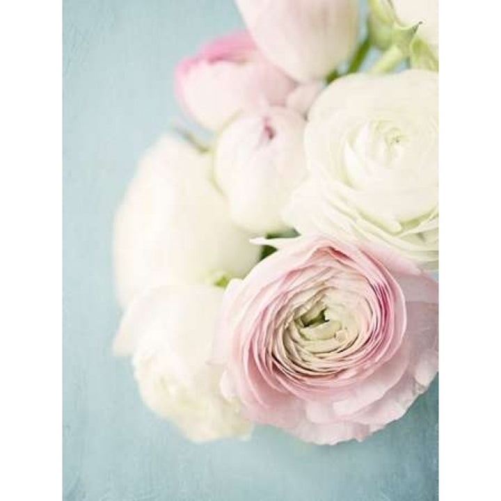 Still Beauty in Pastel 2 Poster Print by Susannah Tucker Photography-VARPDX573TUC1089 Image 1