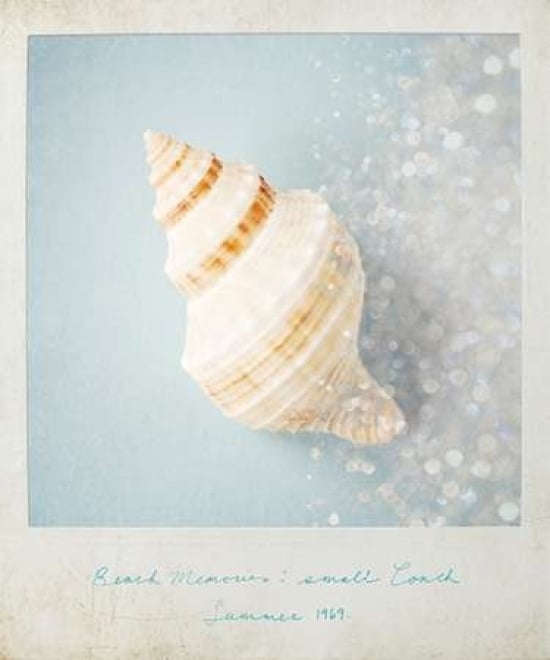 Beach Memories Small Conch Poster Print by Susannah Tucker Photography-VARPDX573TUC1103 Image 1