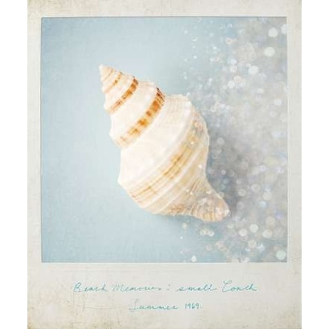 Beach Memories Small Conch Poster Print by Susannah Tucker Photography-VARPDX573TUC1103 Image 2