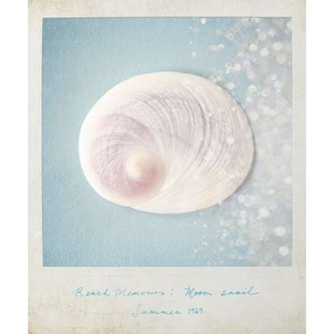 Beach Memories Moon Snail Poster Print by Susannah Tucker Photography-VARPDX573TUC1102 Image 2