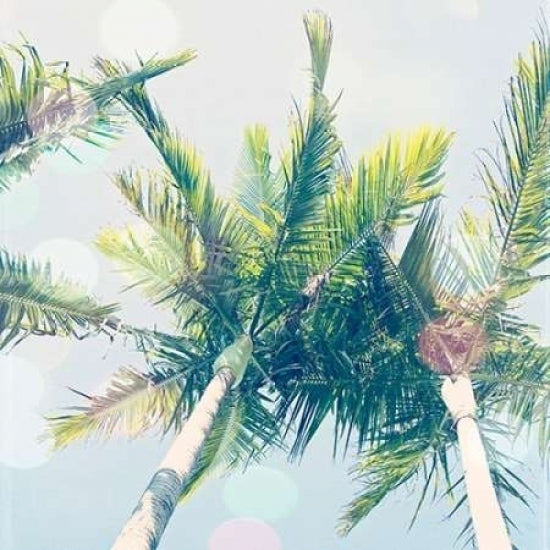 Sun Speckled Palm Trees Poster Print by Susannah Tucker Photography-VARPDX573TUC1157 Image 1