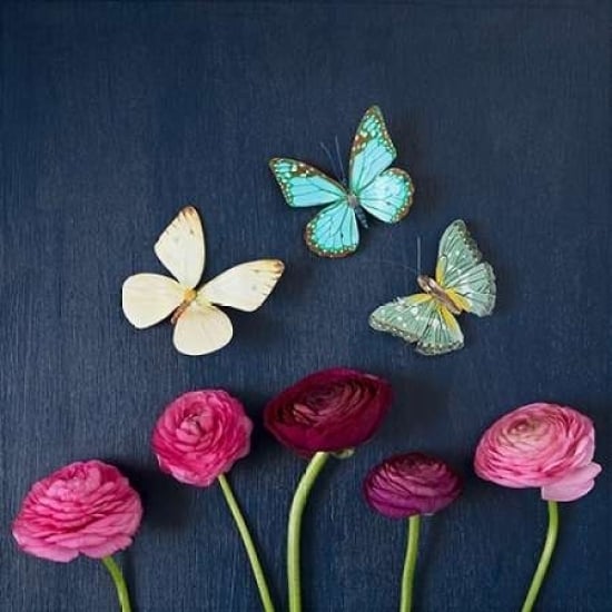 Enchanted Butterflies Poster Print by Susannah Tucker Photography-VARPDX573TUC1186 Image 1