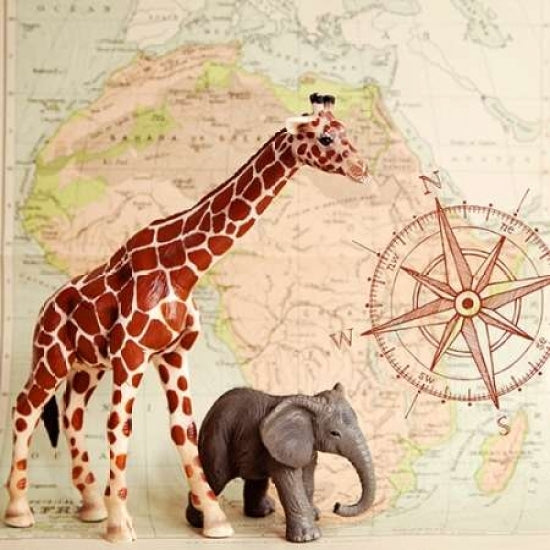 Safari Pals Poster Print by Susannah Tucker Photography-VARPDX573TUC1192 Image 1