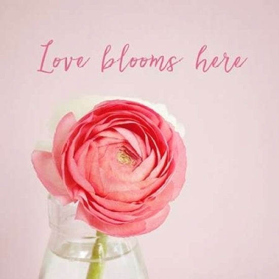 Love Blooms Here Poster Print by Susannah Tucker Photography-VARPDX573TUC1193 Image 1