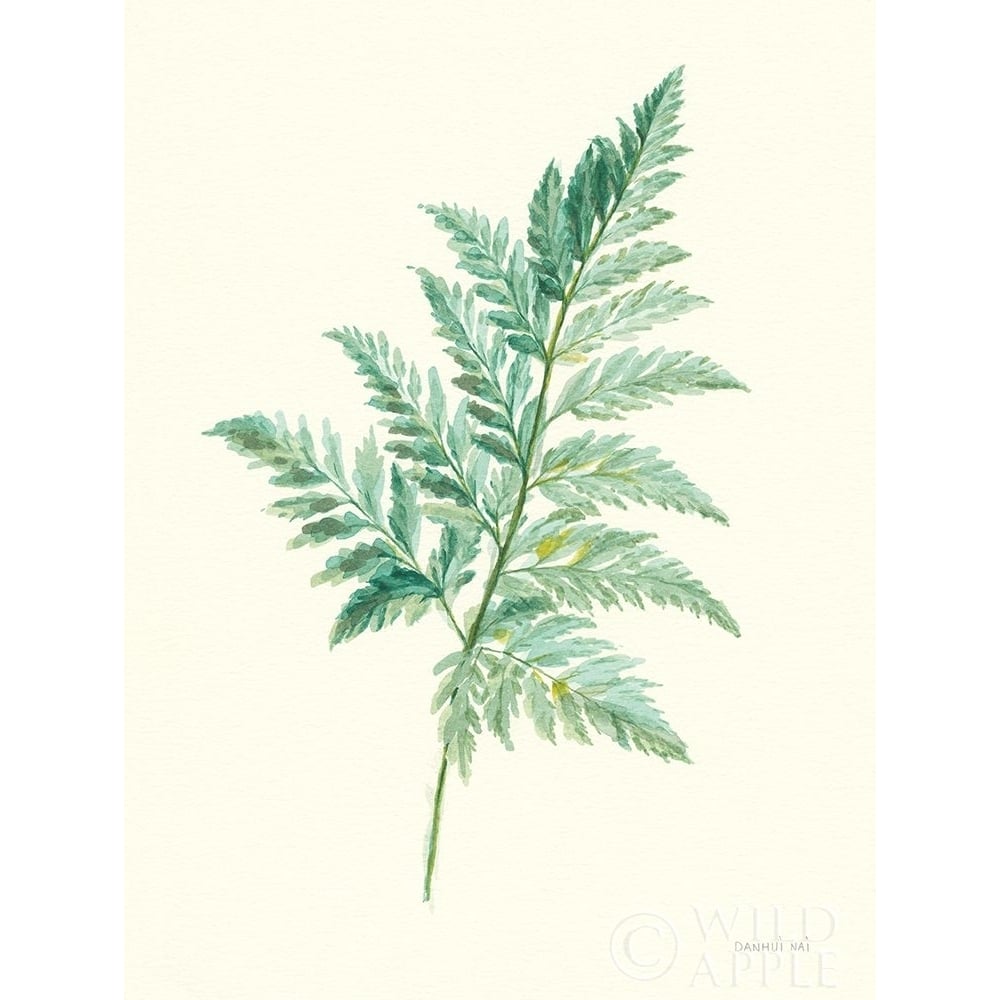 Leaf Study I Poster Print by Danhui Nai-VARPDX57436 Image 1