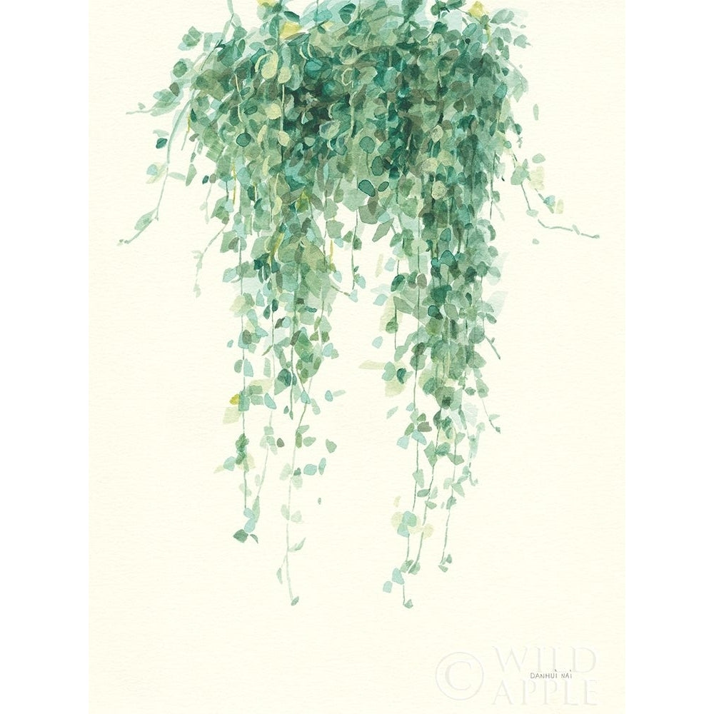 Trailing Vines I Poster Print by Danhui Nai-VARPDX57440 Image 1