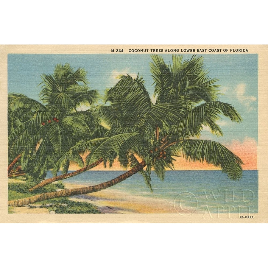 Florida Postcard III Poster Print by Wild Apple Portfolio Wild Apple Portfolio-VARPDX57480 Image 1