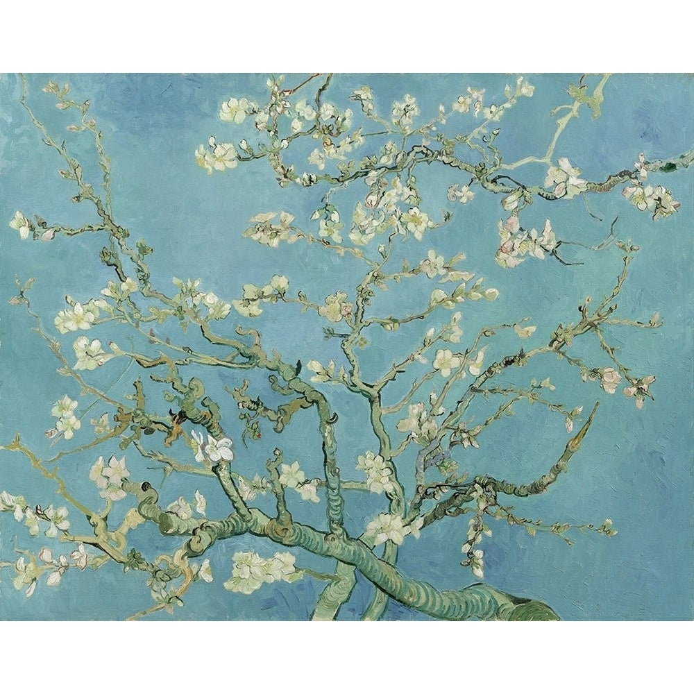 Almond blossom by Vincent van Gogh-VARPDX57498 Image 1