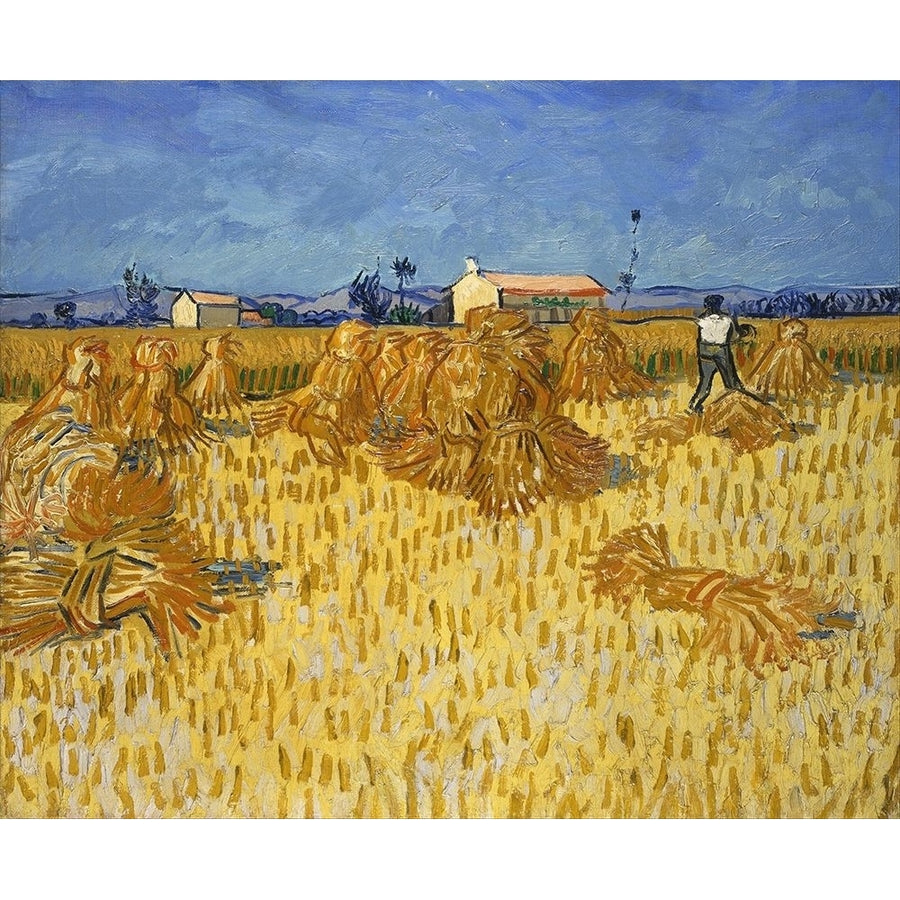 Corn Harvest in Provence by Vincent van Gogh-VARPDX57505 Image 1