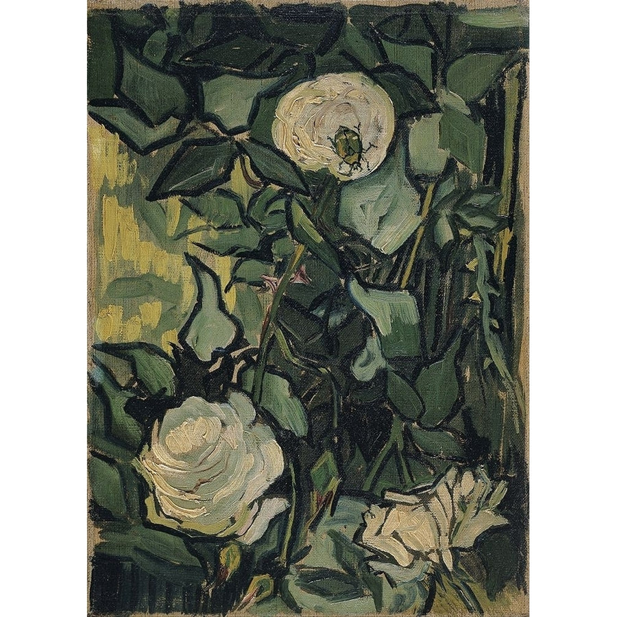 Roses by Vincent van Gogh-VARPDX57521 Image 1