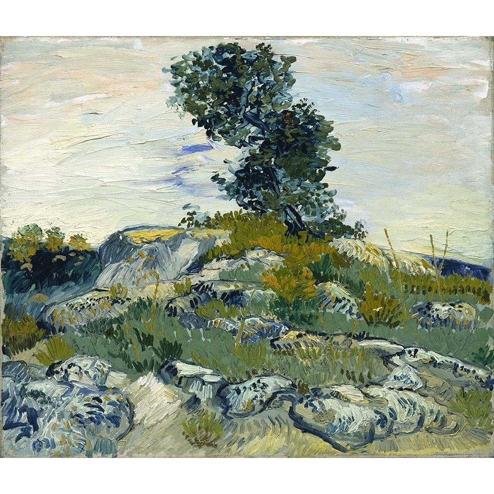 Rocks with Oak Tree by Vincent van Gogh-VARPDX57524 Image 1