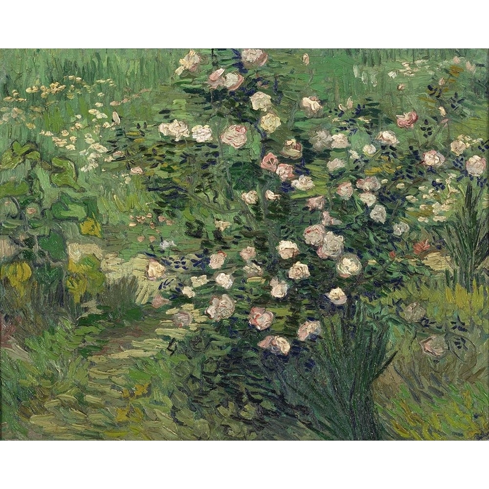 Roses by Vincent van Gogh-VARPDX57527 Image 1