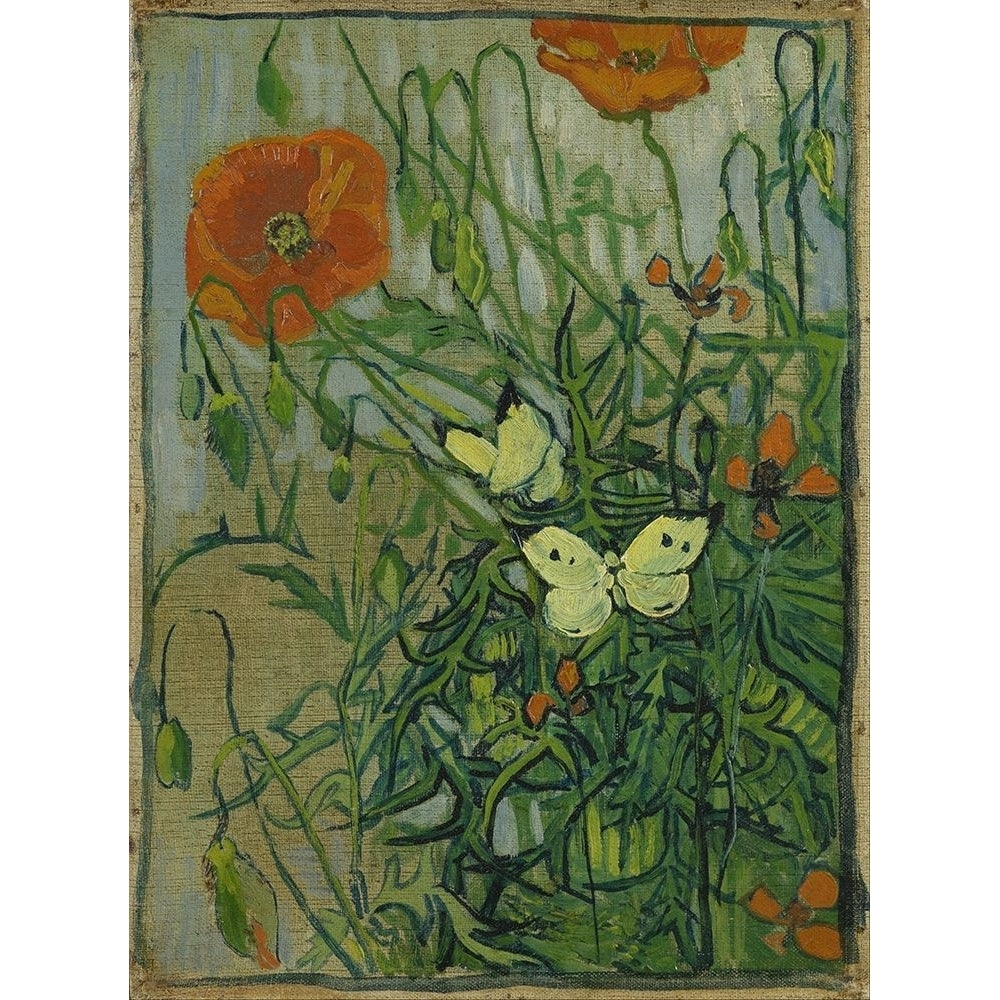 Butterflies and poppies by Vincent van Gogh-VARPDX57532 Image 1