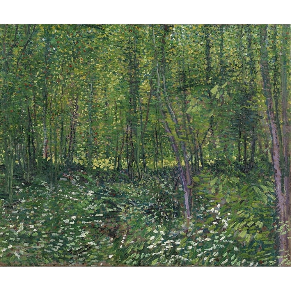 Trees and undergrowth by Vincent van Gogh-VARPDX57541 Image 1