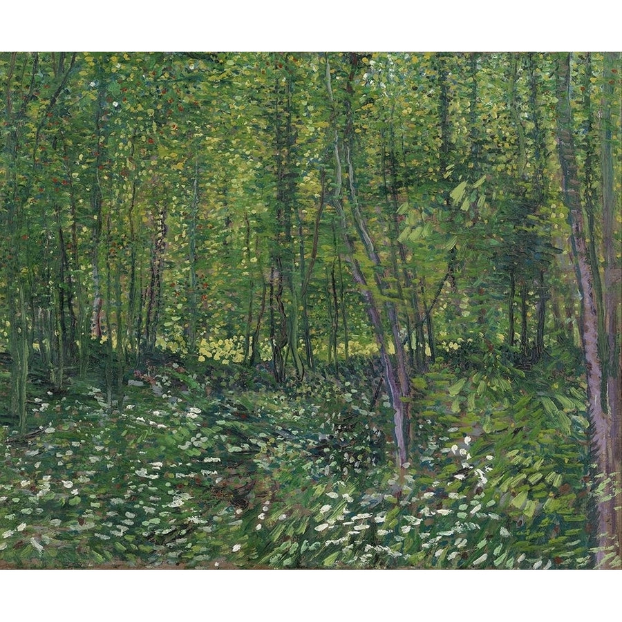 Trees and undergrowth by Vincent van Gogh-VARPDX57541 Image 1