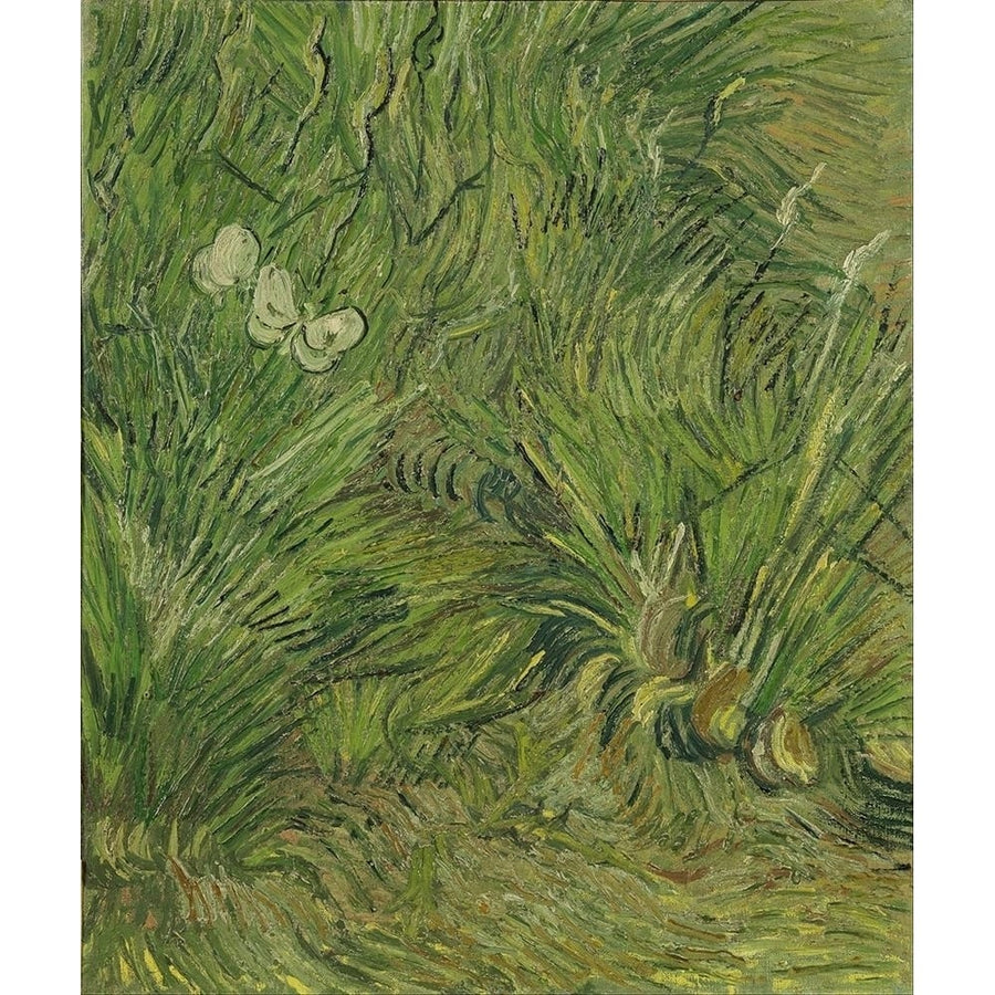 Garden with butterflies by Vincent van Gogh-VARPDX57539 Image 1