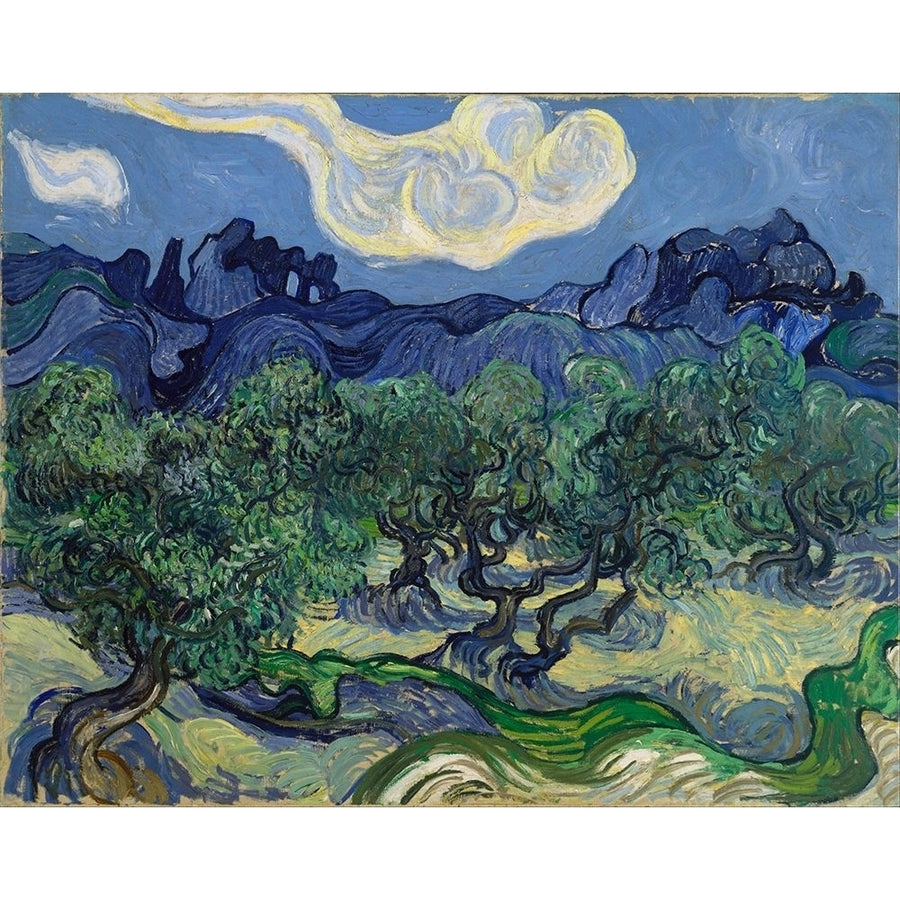 The Olive Trees by Vincent van Gogh-VARPDX57566 Image 1