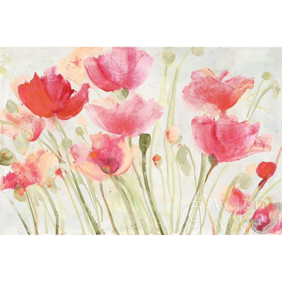 Blush Poppies Poster Print by Albena Hristova-VARPDX57586 Image 1