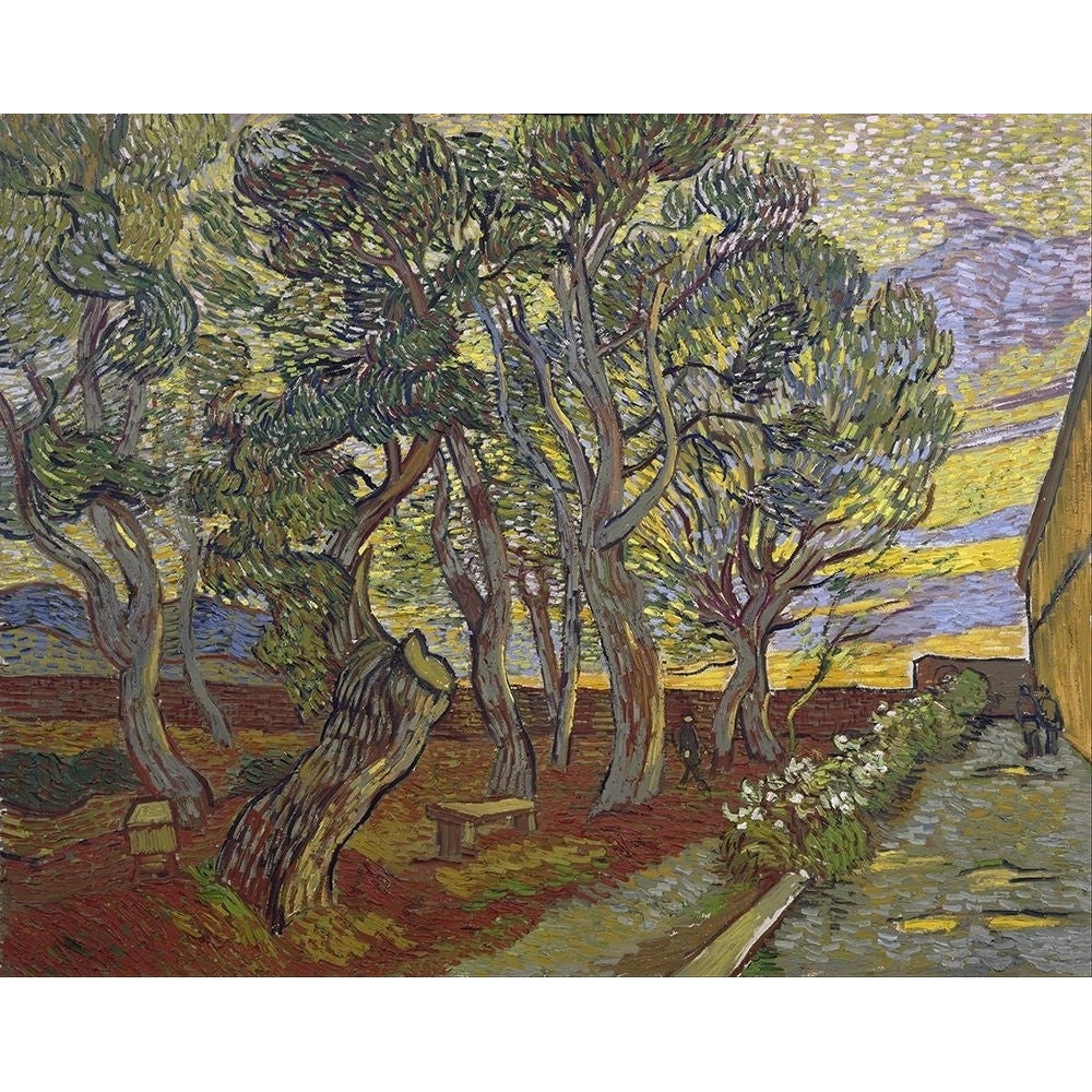 The garden of Saint Pauls Hospital by Vincent van Gogh-VARPDX57598 Image 1