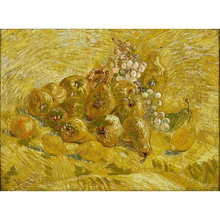 Quinces lemons pears and grapes by Vincent van Gogh-VARPDX57607 Image 1