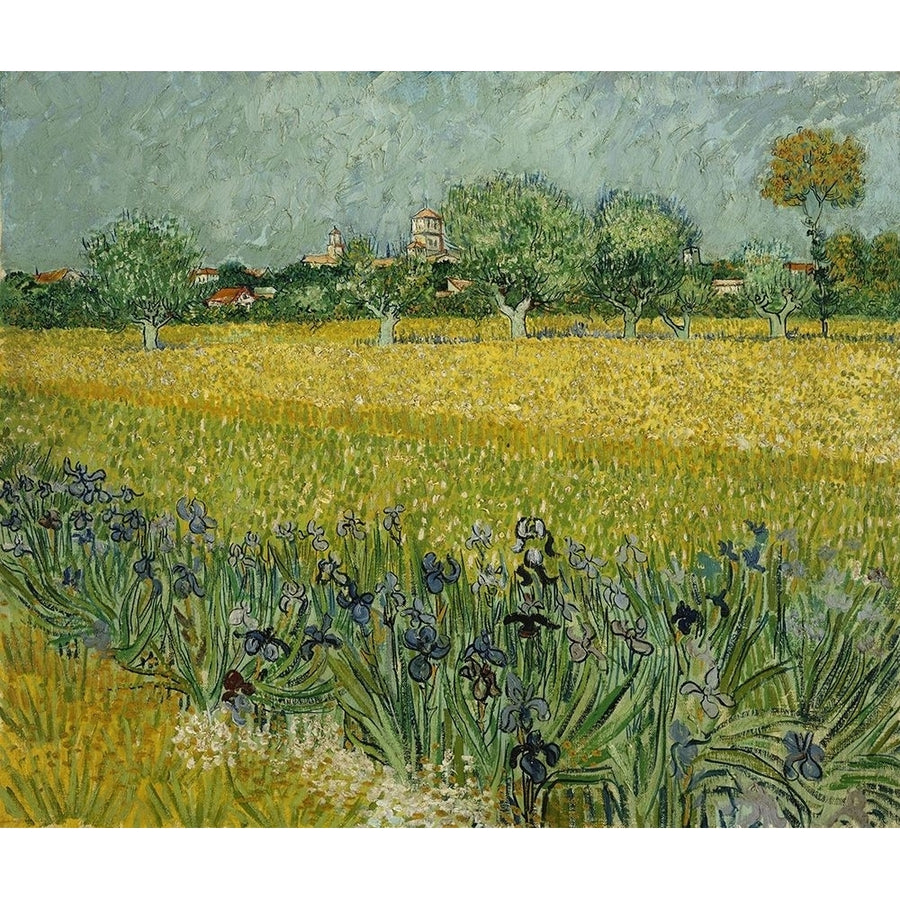 Field with flowers near Arles by Vincent van Gogh-VARPDX57610 Image 1