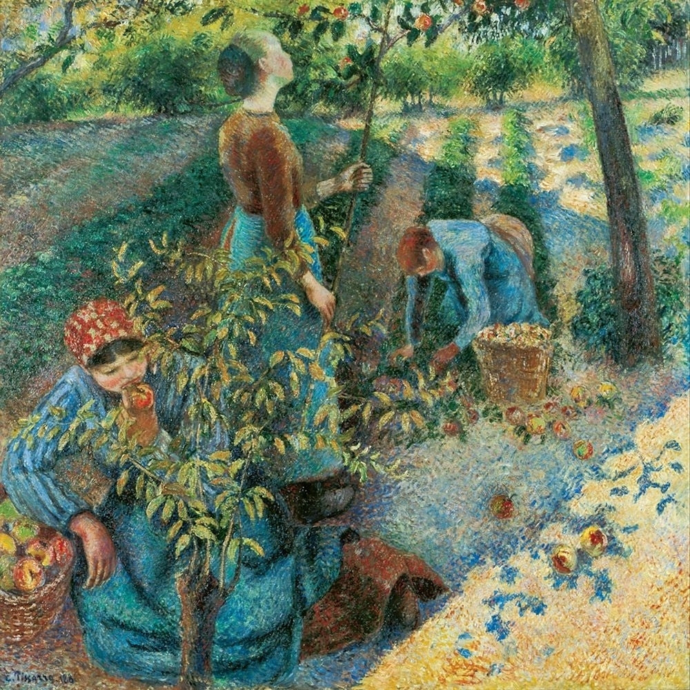 Apple Picking by Camille Pissarro-VARPDX57642 Image 1